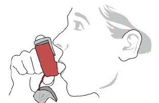 Using your SYMBICORT inhaler  - Illustration